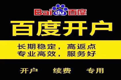 竞价开户推广案例市场分析